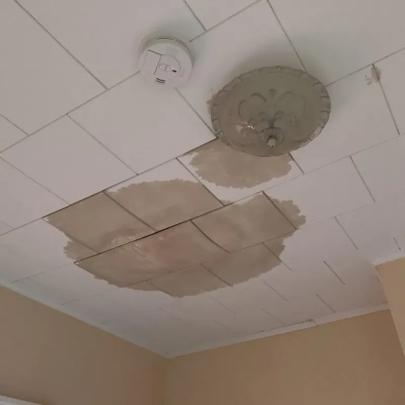 Ceiling Water Damage Repair in McIntosh County, ND