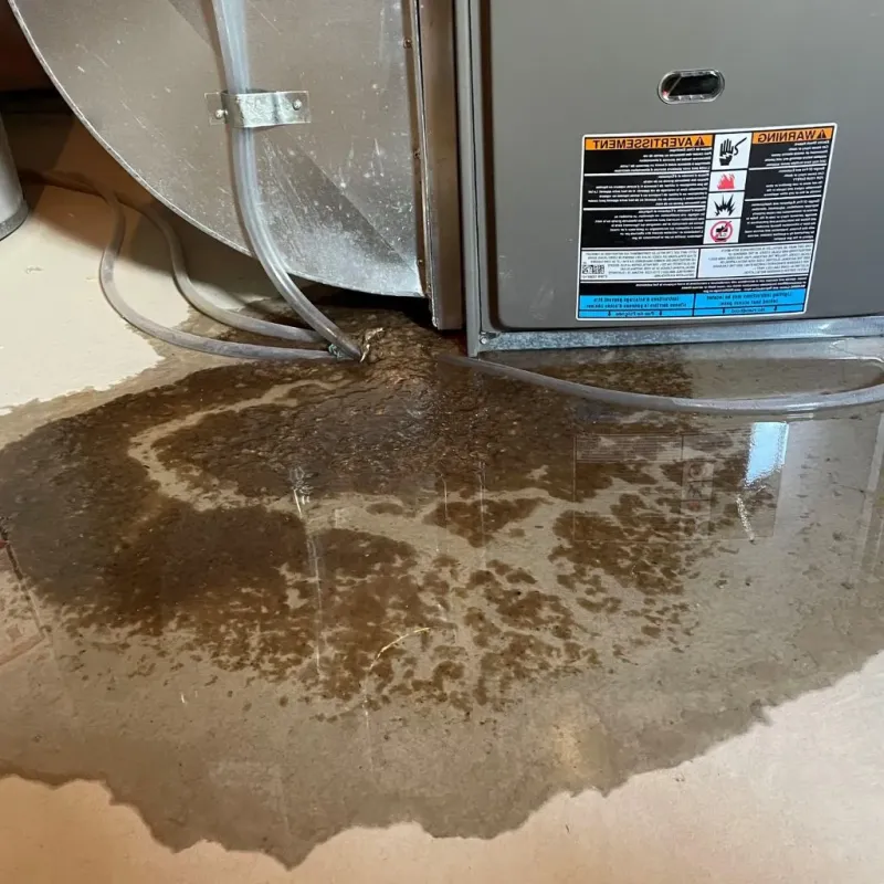 Pipe Burst and Leak Restoration in McIntosh County, ND