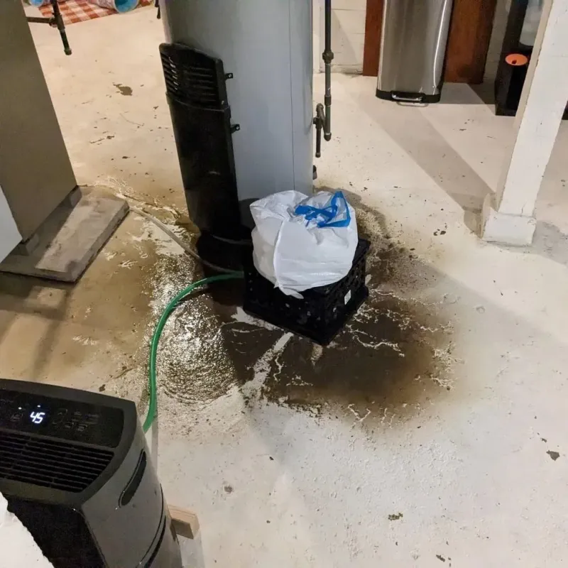 Sewage Backup Cleanup Service in McIntosh County, ND